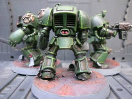 WH40K Salamanders Terminators 2