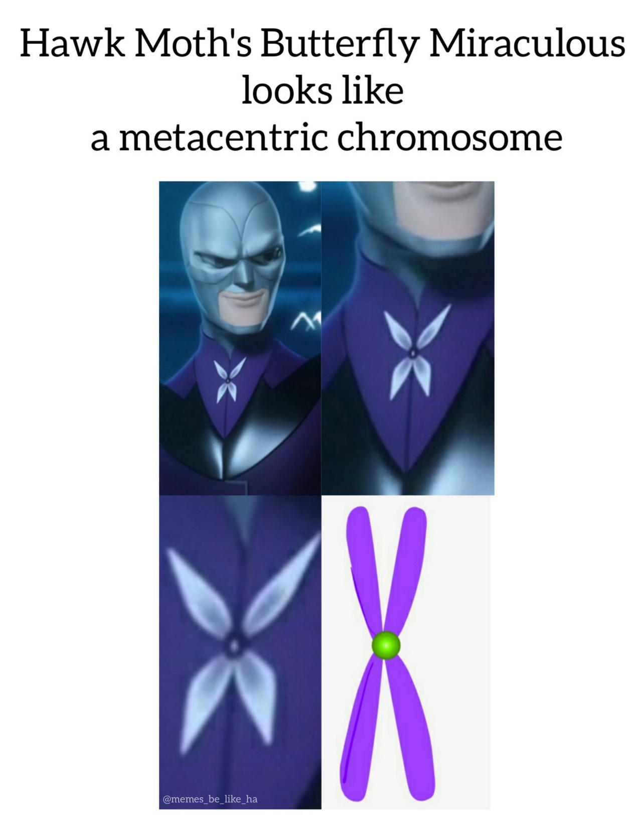 Hawkmoth On Hawkmothsarmy Deviantart