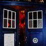 The Tardis Doors as seen on TV