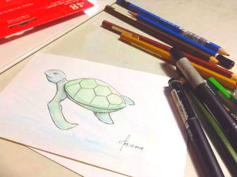 Turtle