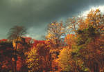November-The Beauty Of Colors by AlexandrinaAna