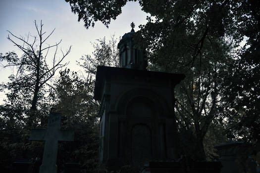 Darkness / Bellu Cemetery