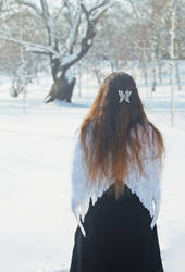 Inspiration/ Winter/Wings/ Fairies/Myths