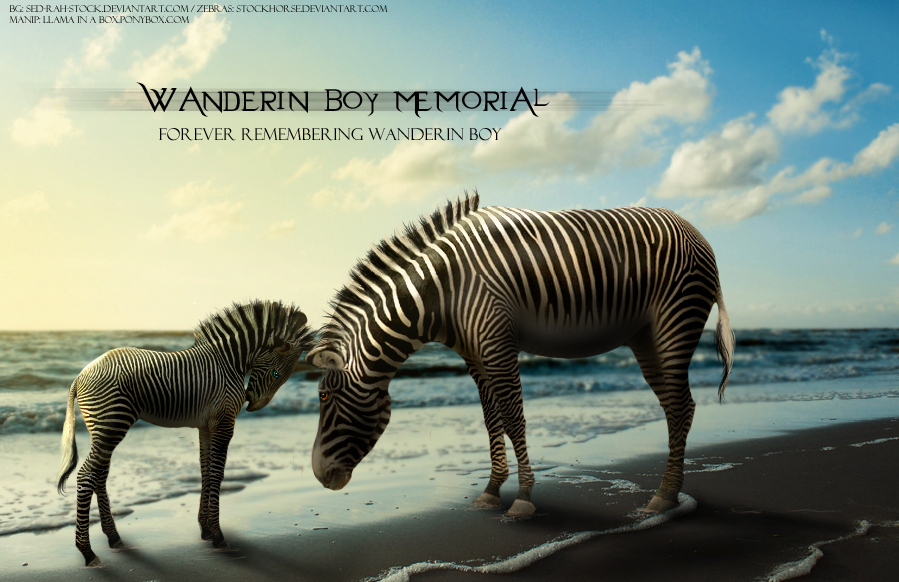 Wanderin Boy Memorial