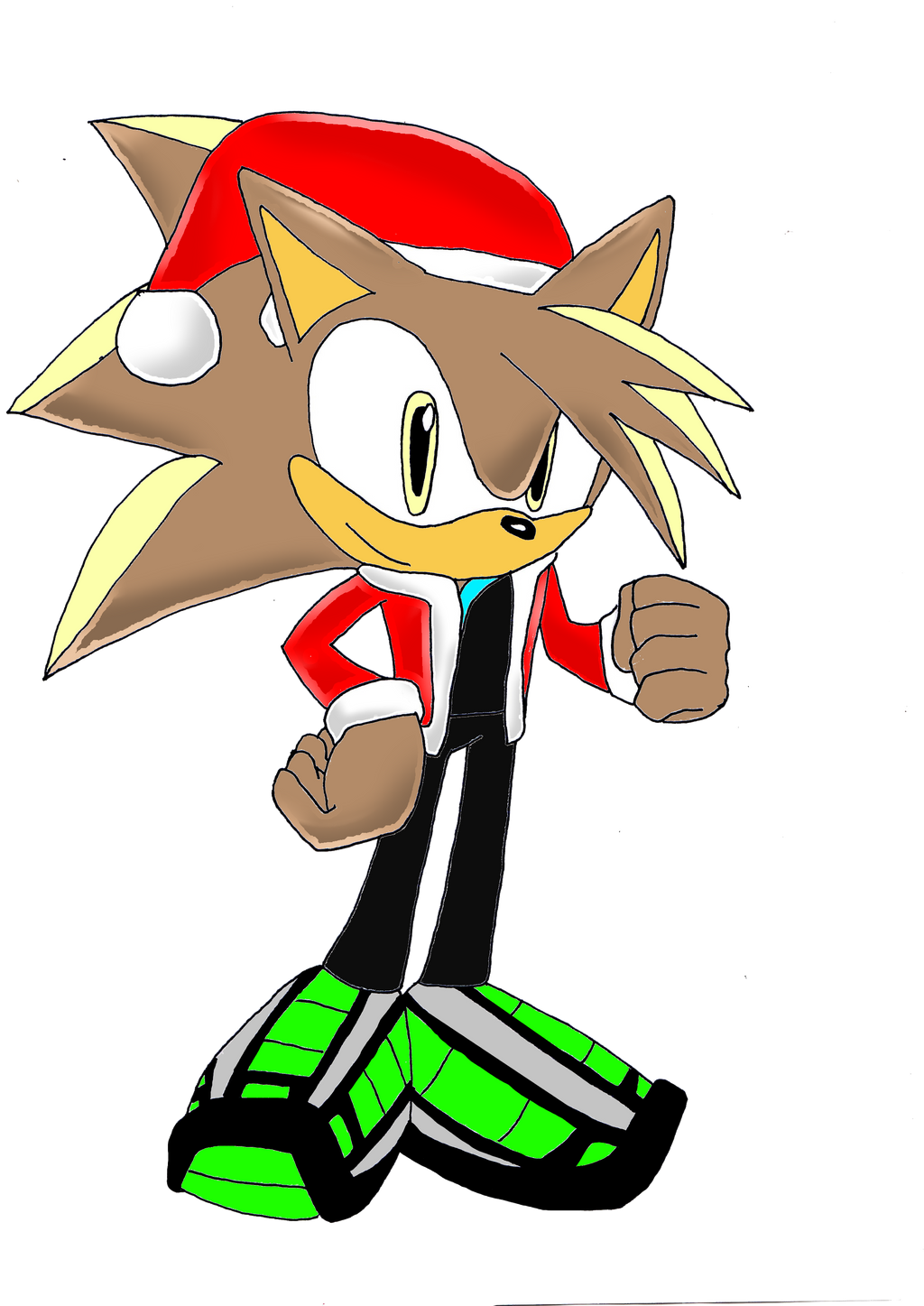 Dan the Hedgehog Christmas SA 2014