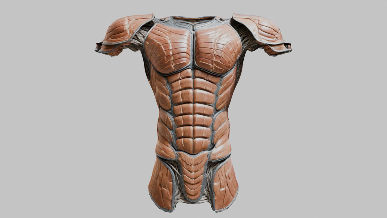 Moderate Build Torso Muscular Torso Armor by GamingAssets on DeviantArt