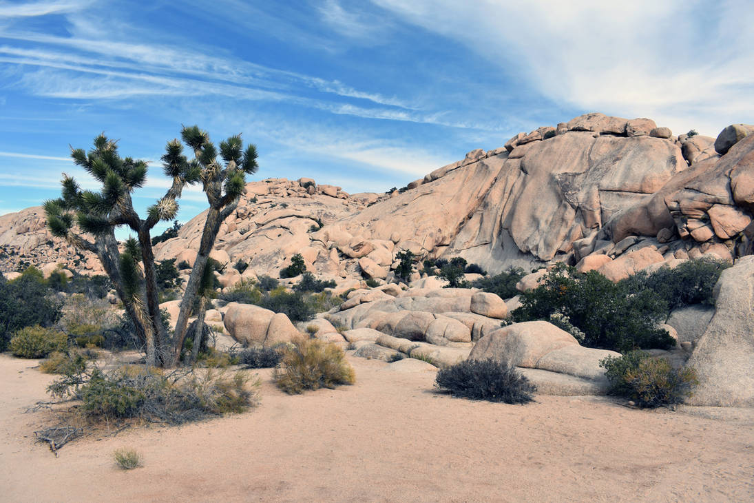 Joshua Tree Rick Riordan Edit-2017-11-28-3 (797) Joshua Tree NP by ClintonR78 on DeviantArt