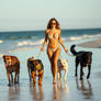 Dogdaysofsummer By Clintonr78