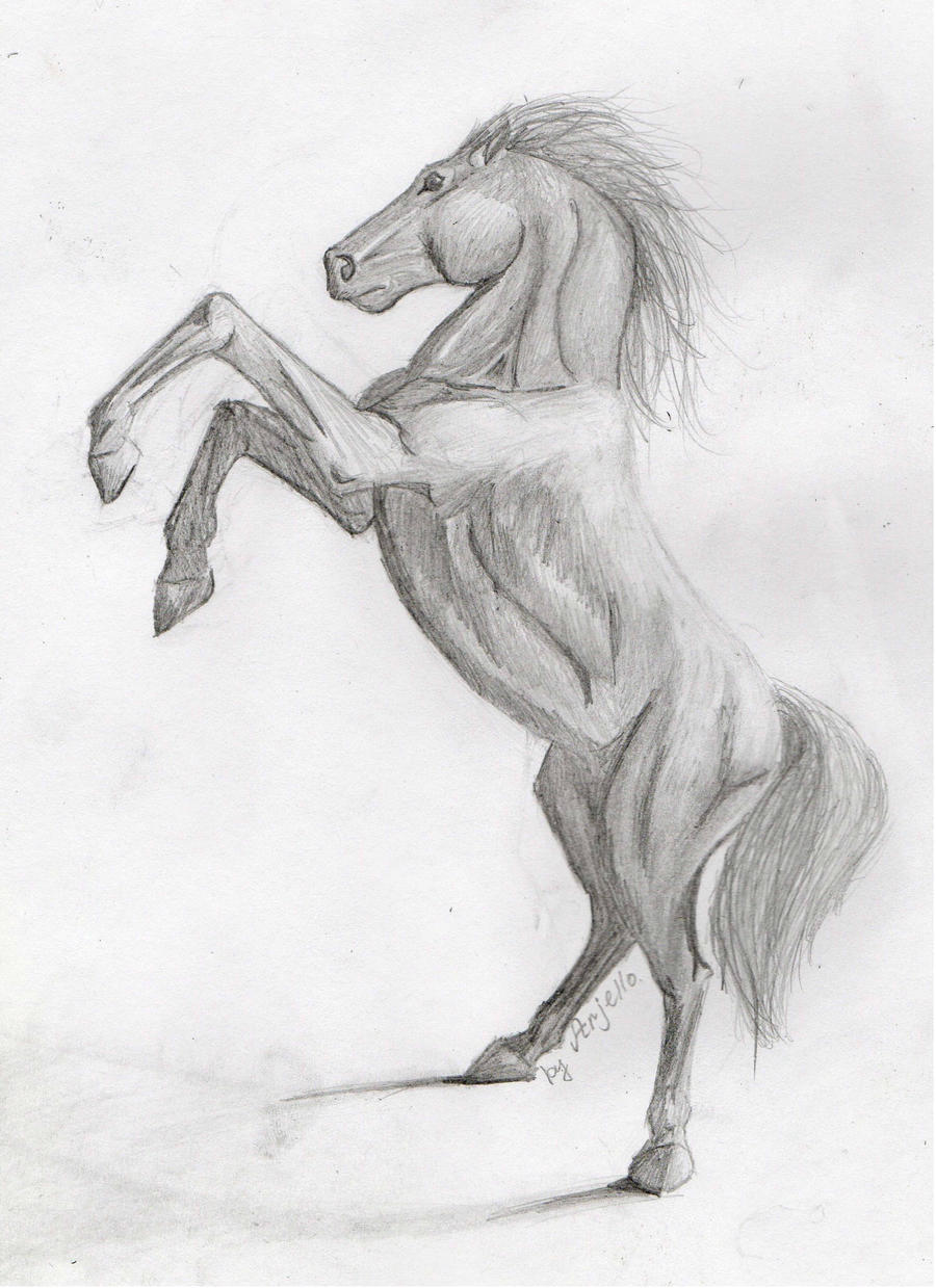 Horse_2