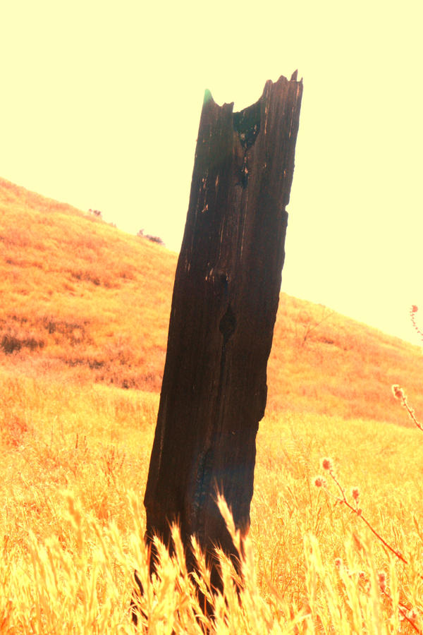 Rustic Post Character wood-post by Rust-ay on DeviantArt