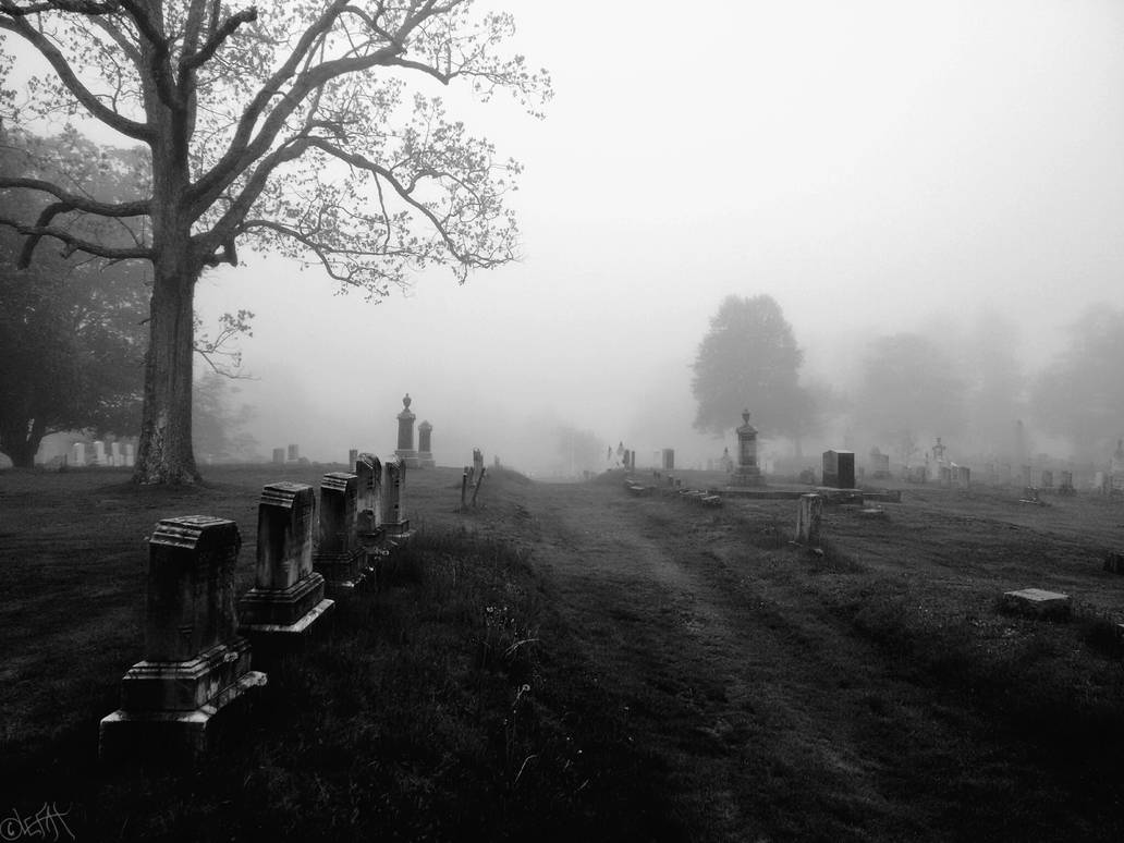 Mourning Fog