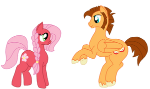 FlutterMac foals