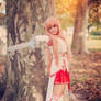 Asuna Yuuki - Sword Art Online