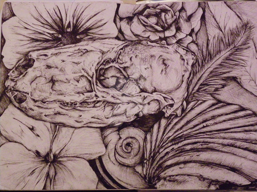 Study of Natural Forms by ZEPASTELARTIST on DeviantArt