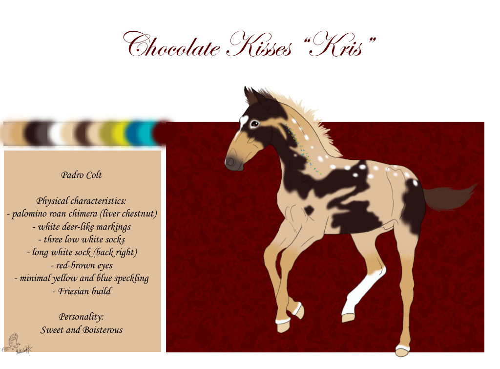 N611 Chocolate Kisses