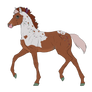 N2538 Padro Foal Design