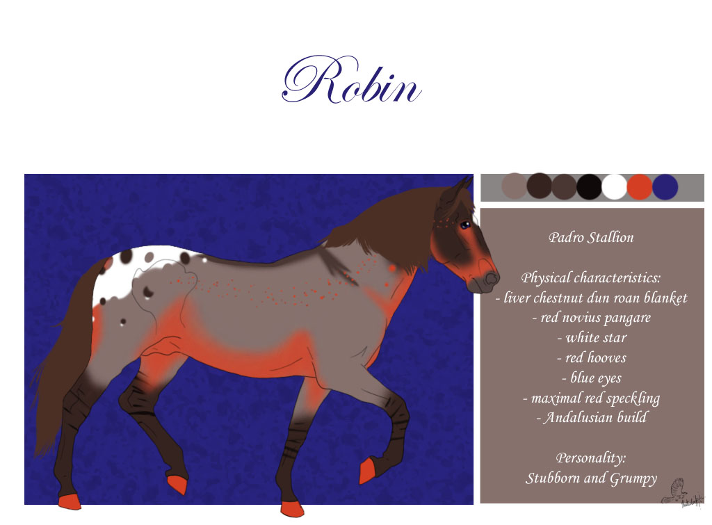 N1104 Robin