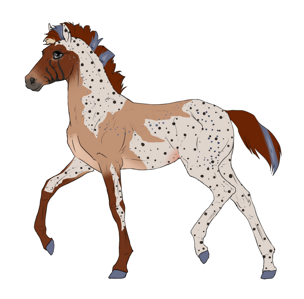 N2834 Padro Foal Design for DarkestNation