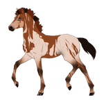 N2902 Padro Foal Design for KaitlyNicole by casinuba