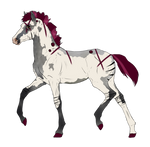 N2973 Padro Foal Design for HorseAdict by casinuba
