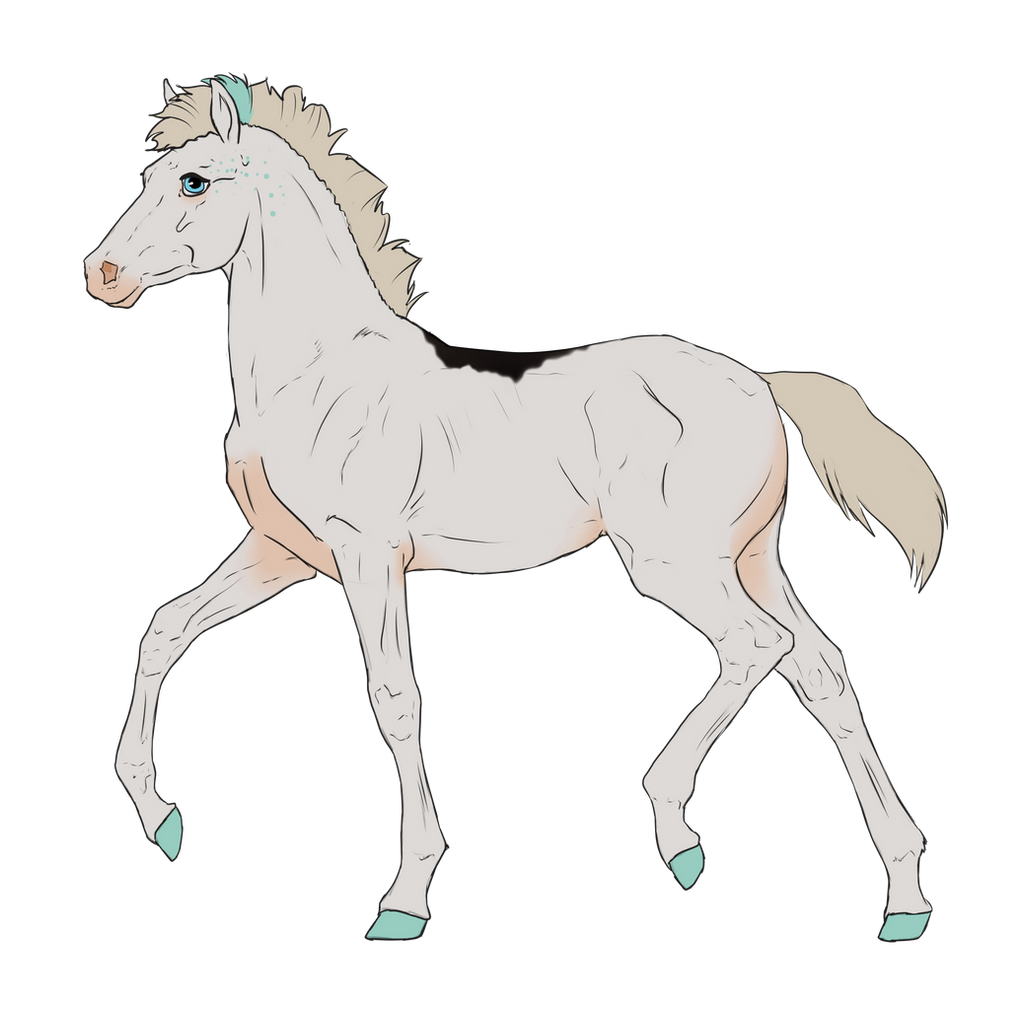 N3136 Padro Foal Design