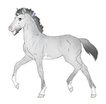 N5108 Padro Import - CLOSED by casinuba