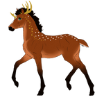 N4882 Padro Custom for SammieAsMagPie by casinuba