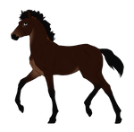 N4894 Padro Custom by casinuba