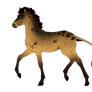 N6008 Padro Foal Design