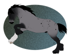 N6139 The Traveler by casinuba