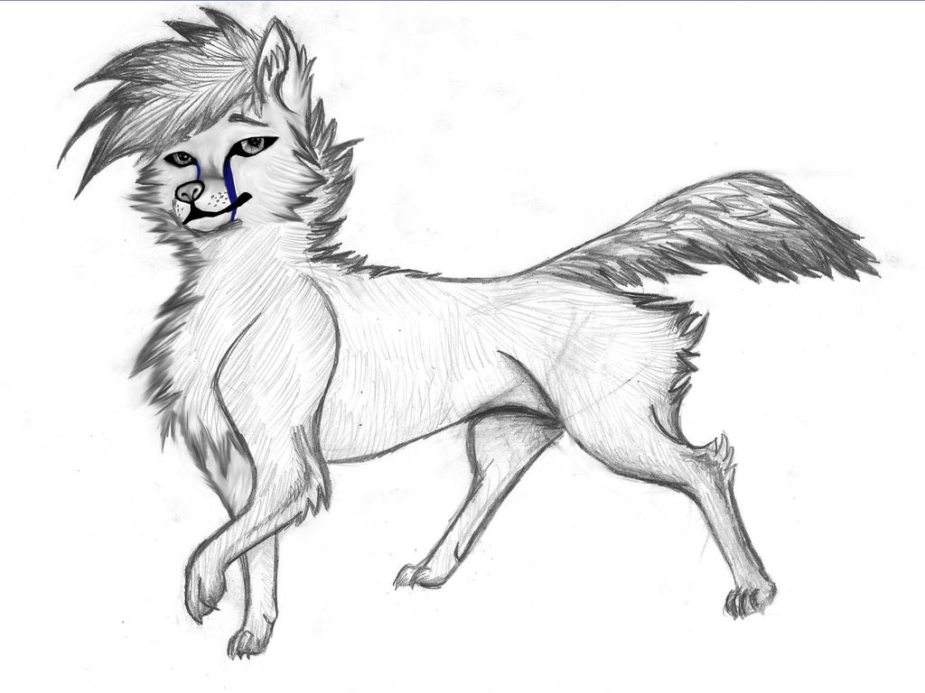 Scan - wolf by WolfOriana on DeviantArt