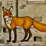 Rita the Fox in the Ally