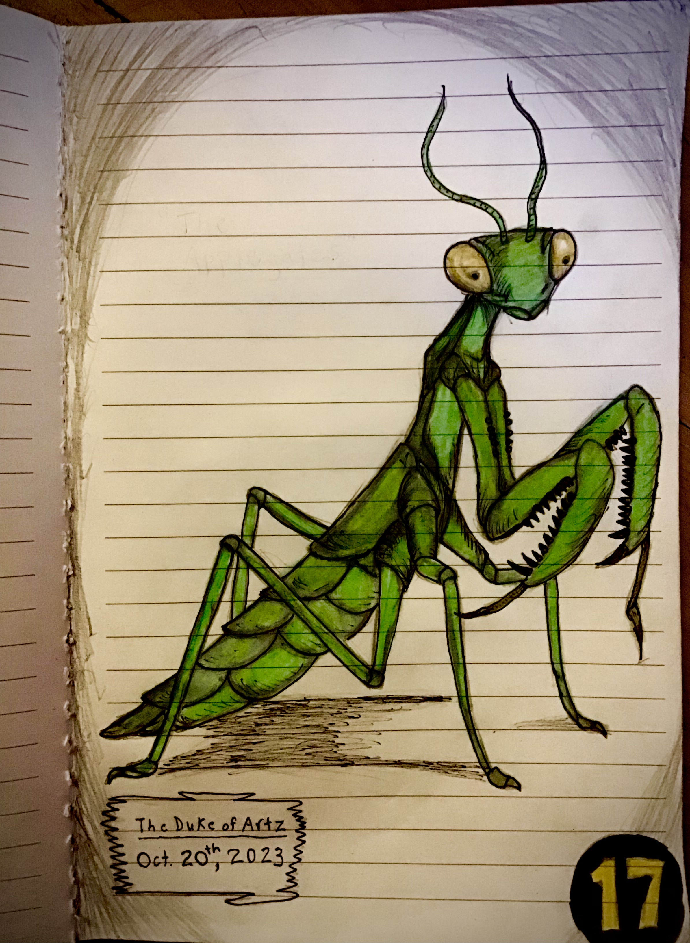 Mants Deviantart A Praying Mantis by Hartzler35 on DeviantArt