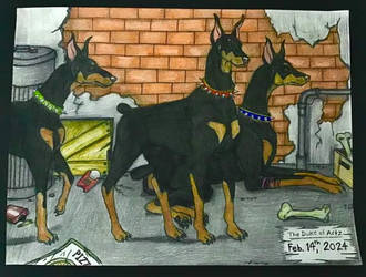 Three Dobermans