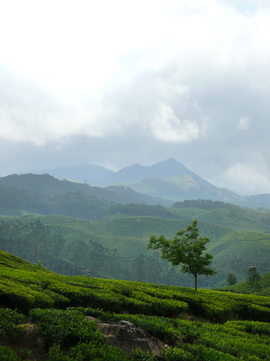 munnar