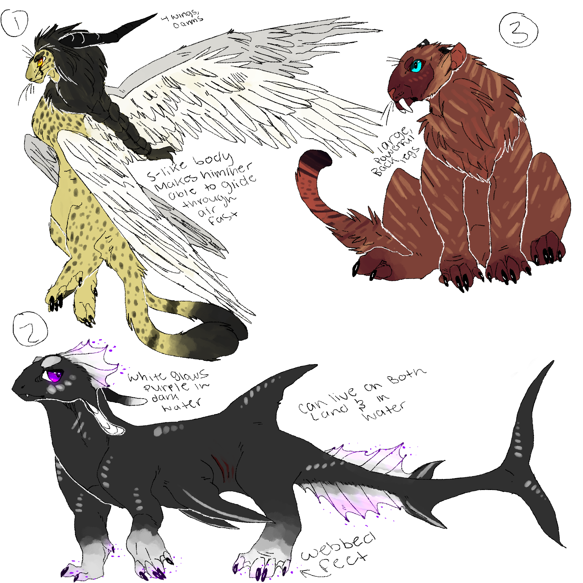 Adopts 6 UPDATE