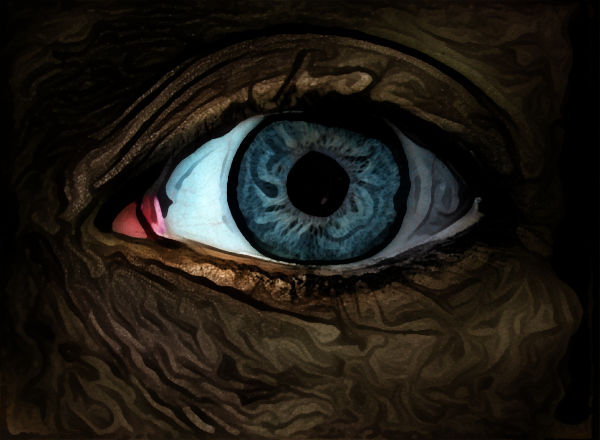 Eye