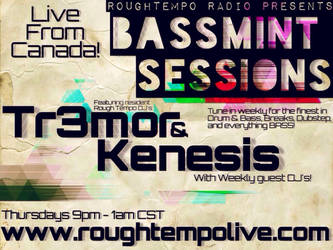 Rough Tempo Promo Flyer