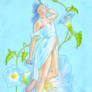 Morning Glory