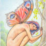 Aglais