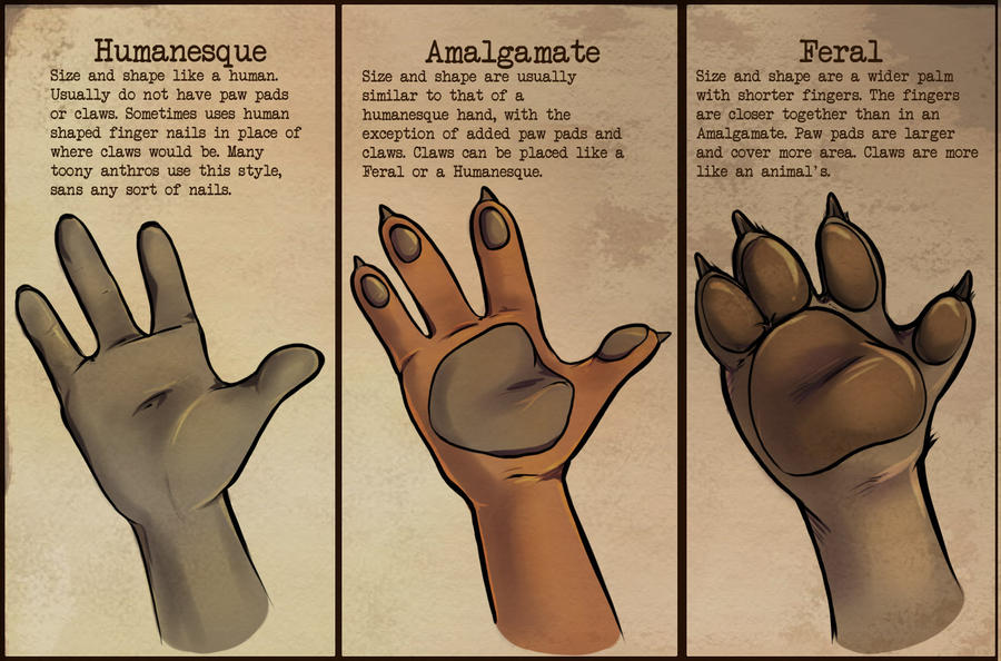 Anthro Hands By Coffinberry On Deviantart