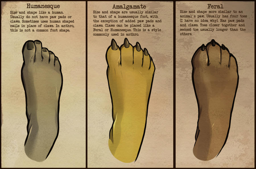 Anthro Feet by coffinberry on DeviantArt