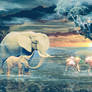 Elephants and flamingos