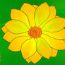 Yellow Flower - Blume Gelb