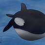 Orca