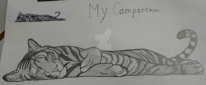Tiger Comparison