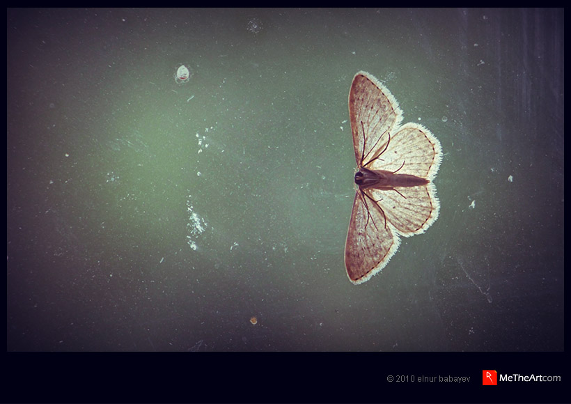 look at me by elnurbabayev