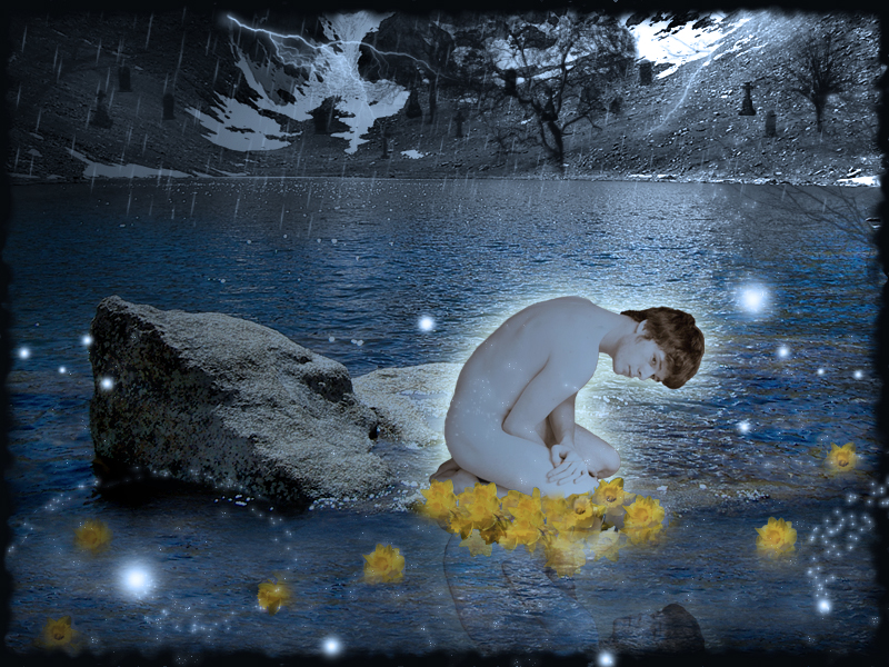 Narcissus