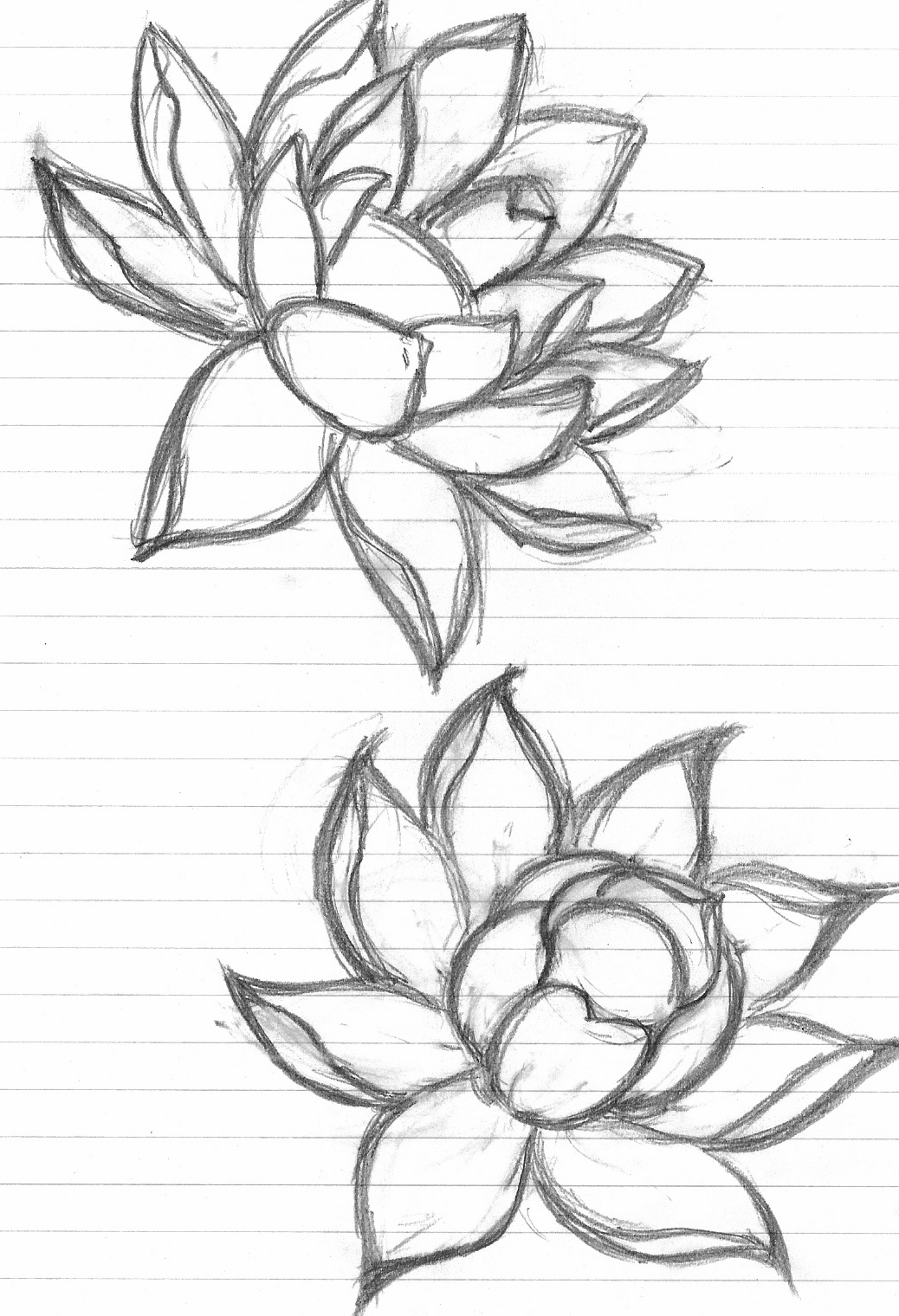 Lotus Tattoo Ideas By Meowle On Deviantart