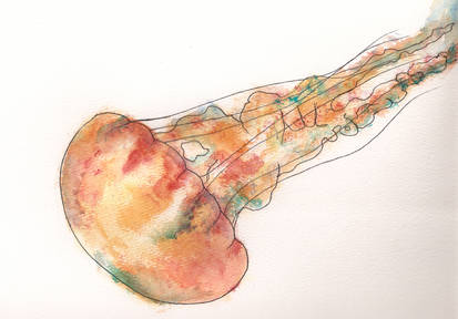 Jellyfish Watercolor